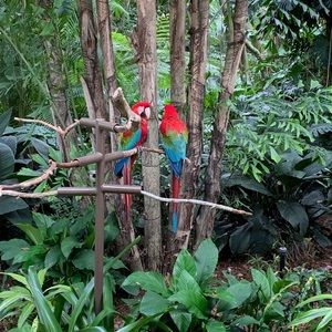 Meet your Posher, Asija